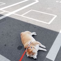虚無の表情で、チキンを待つ