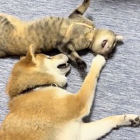 「ねぇってばぁ」