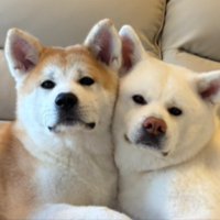 ぴったり