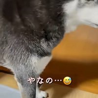 立ち去るこうめちゃん