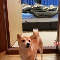 パパさんが戻ると…