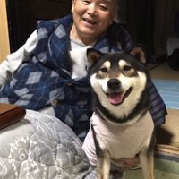 コタツのに座るおじいちゃん、笑顔で寄り添う黒柴