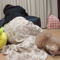 ママに寄り添う虎太郎くん