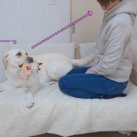 きなこちゃんとママさんの再会4