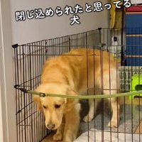 「出ちゃダメってことだよね…？」