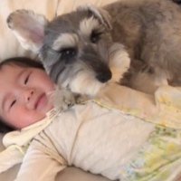 赤ちゃんを枕にするトトちゃん5