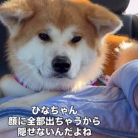 お見送りの時のひなちゃん