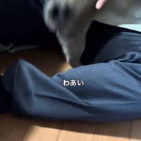 尻尾を振って大歓喜♪