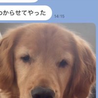 わからせて