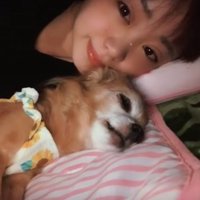 犬と添い寝