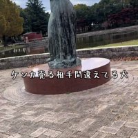 銅像を観察するあずきちゃん