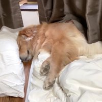 おばあちゃんが家に来て…