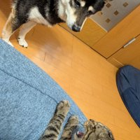 えっ