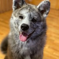 笑顔のあきちゃん