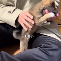 嬉しいお出迎えでした♡