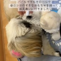 絶対に帰ってきてほしい！