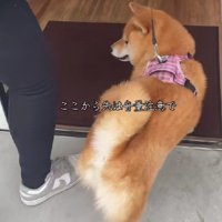 気持ちを切り替えて中へ！