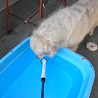 水分補給！