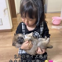仰向けで抱っこされる子犬