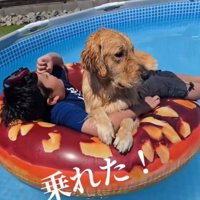 お兄ちゃんとプールで遊ぶサンタくん