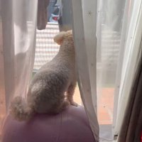 無事に元の体勢に戻りました♪
