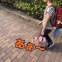 人の隣を歩く犬