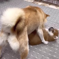 厳しくしつけられて…