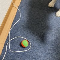 なんて愛おしい光景…