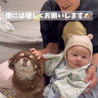 茶太郎くんを撫でる赤ちゃん1