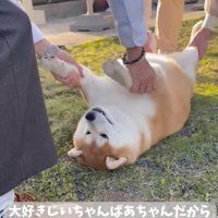 参戦するおじいちゃん