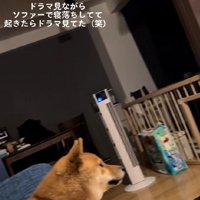 目を離せない…！！