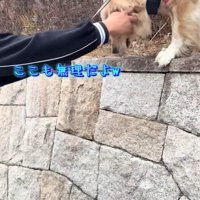 少し移動しても無理