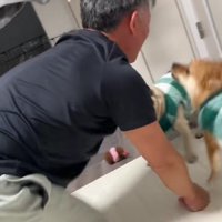 「さっき言ったばかりでしょ！」