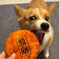 別犬のような凶悪なお顔に！