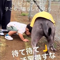 クン活するしおちゃん