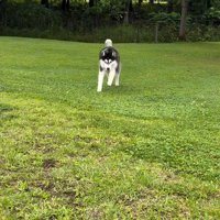 大急ぎで駆け寄ってきた♪