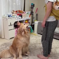 パパにスリングで抱っこされていた