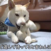 「遊びながらいい子で待ってるね！」