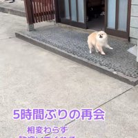 ますお君がお家の前でお出迎え♪