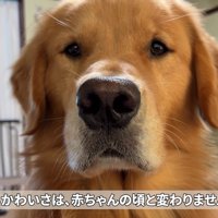 今では圧が強すぎる…！