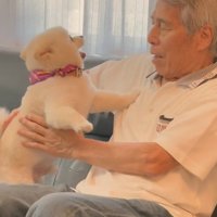 小型犬を抱き上げるおじいちゃん