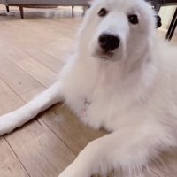 周りを幸せにしてしまう花ちゃん