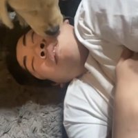 男性の顔をペロペロする子犬