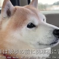 ウキウキした表情で乗車♪