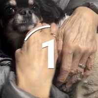 とっても仲良し