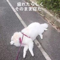 急にスイッチオフに…