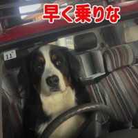 ベテランドライバーみたい！