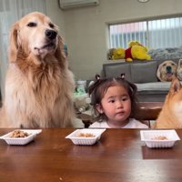 みんなおあずけ