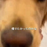嬉しそうに顔を寄せる