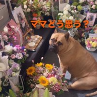 思わず涙がこぼれた